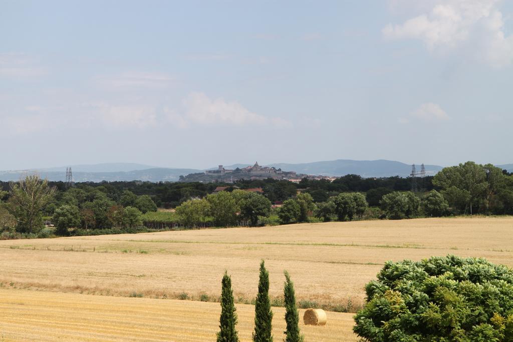 Agriturismo Verbena 카스틸리오네델라고 외부 사진