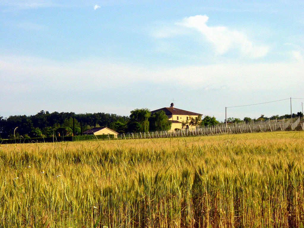 Agriturismo Verbena 카스틸리오네델라고 외부 사진