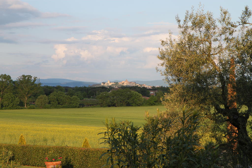 Agriturismo Verbena 카스틸리오네델라고 외부 사진