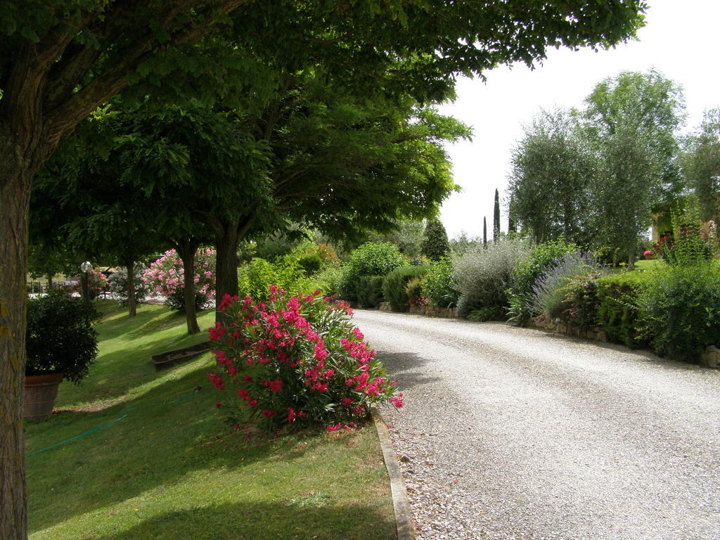 Agriturismo Verbena 카스틸리오네델라고 외부 사진