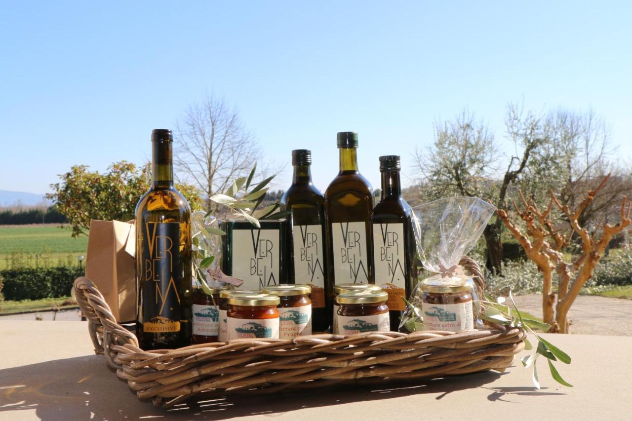 Agriturismo Verbena 카스틸리오네델라고 외부 사진